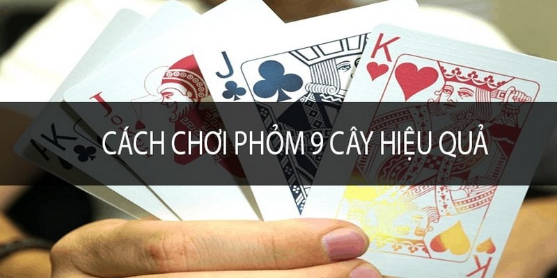 Tân thủ nên học cách chơi Phỏm là yếu tố quan trọng